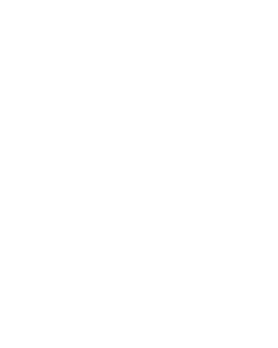 Bachata