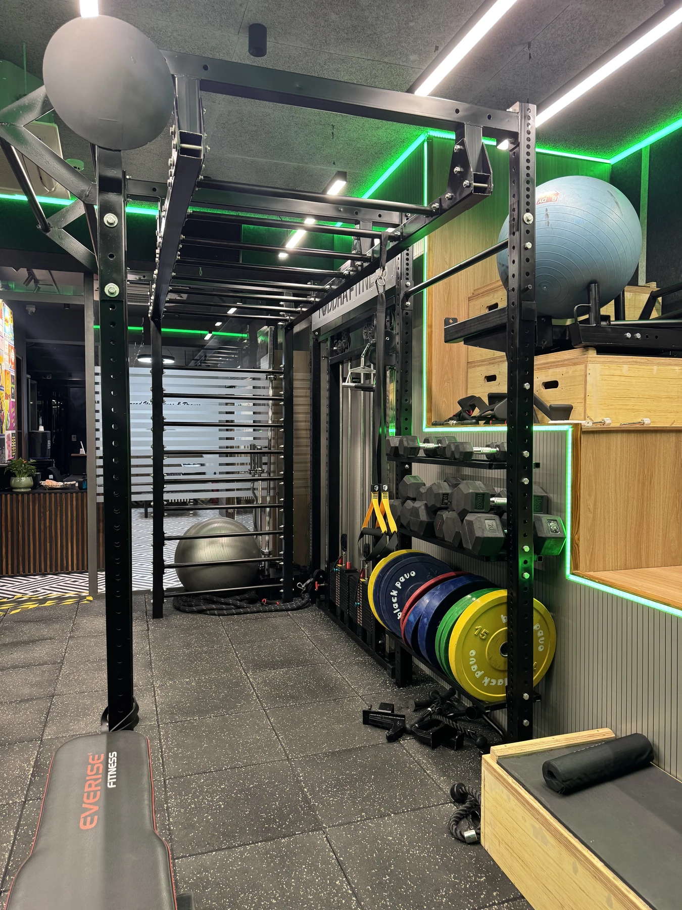 Monkey Bars & Functional Overhead Rig